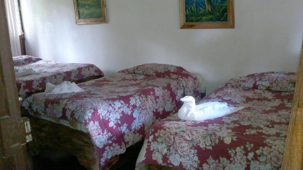 Hostel Villa Verde Monteverde Extérieur photo