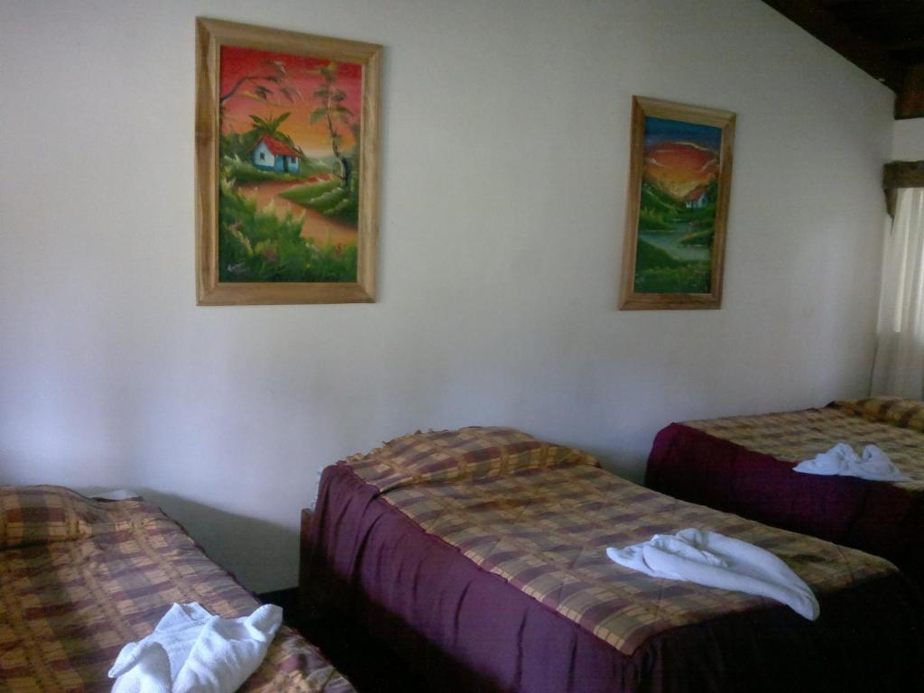 Hostel Villa Verde Monteverde Extérieur photo