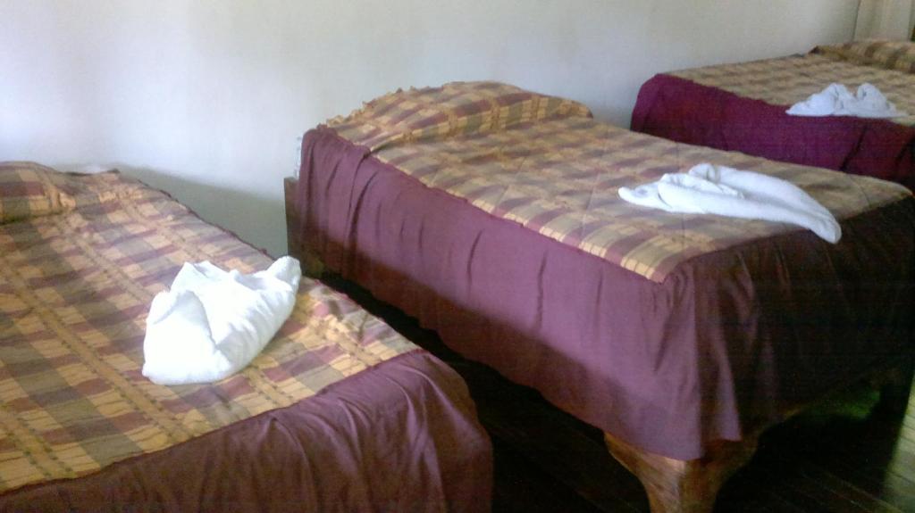 Hostel Villa Verde Monteverde Extérieur photo