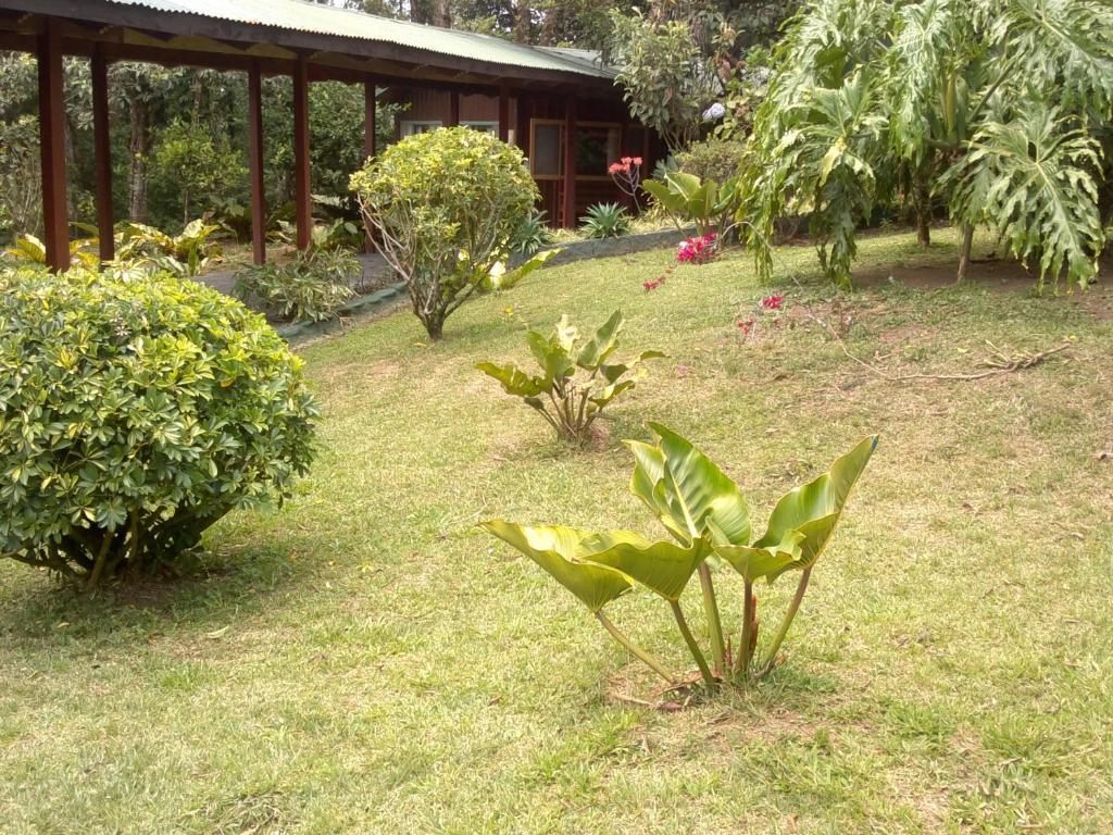 Hostel Villa Verde Monteverde Extérieur photo